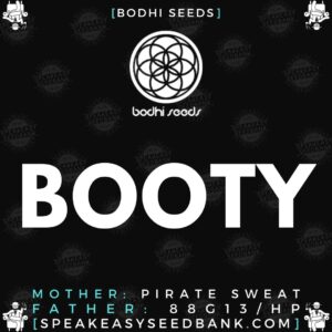 Speakeasy presents Booty (Bodhi Seeds)