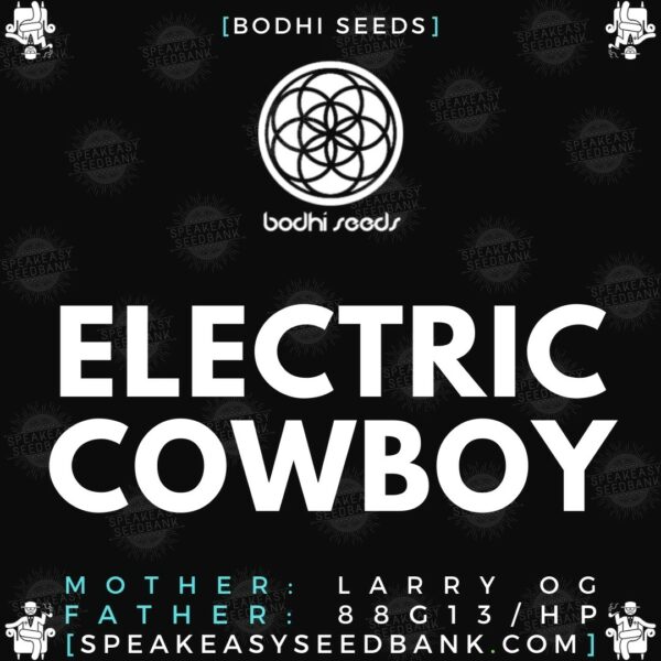Speakeasy presents Electric Cowboy (Bodhi Seeds)