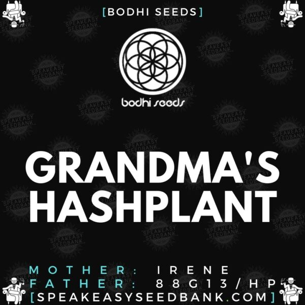 Speakeasy presents Grandma's Hashplant (Bodhi Seeds)