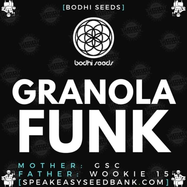 Speakeasy presents Granola Funk (Bodhi Seeds)