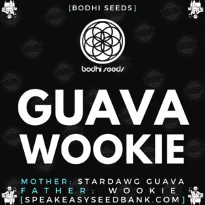 Speakeasy presents Guava Wookie (Bodhi Seeds)