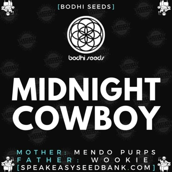 Speakeasy presents Midnight Cowboy (Bodhi Seeds)