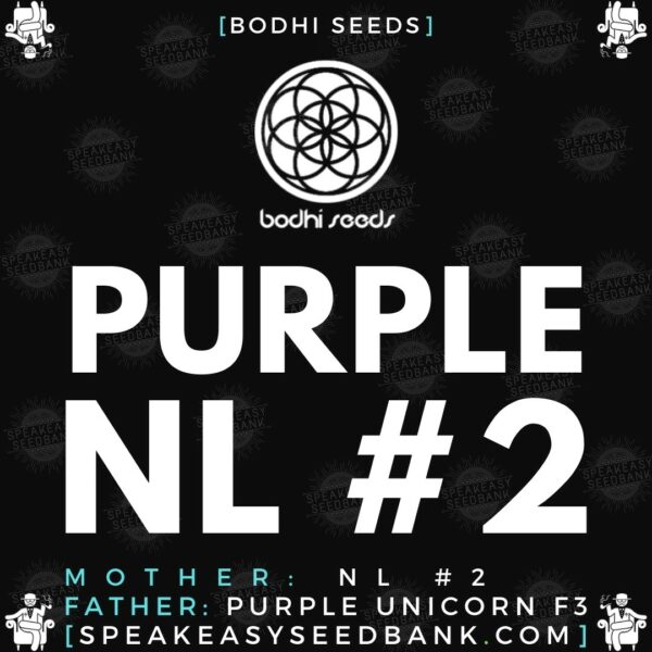 Speakeasy presents Purple NL no.2 (Bodhi Seeds)