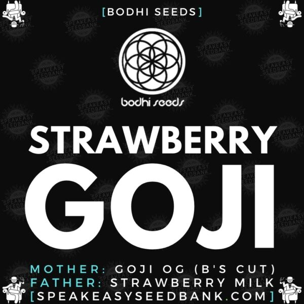 Speakeasy presents Strawberry Goji (Bodhi Seeds)