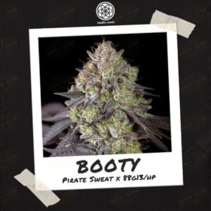 Booty by Bodhi Seeds