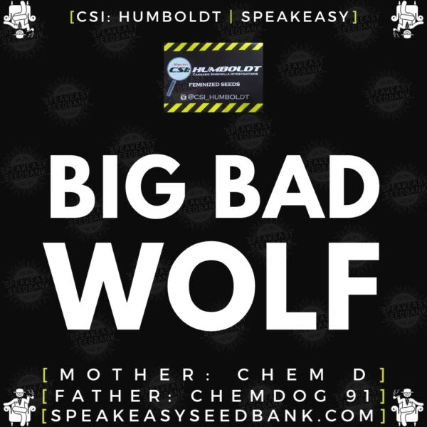 Speakeasy presents Big Bad Wolf by CSI Humboldt (Feminized Seeds)