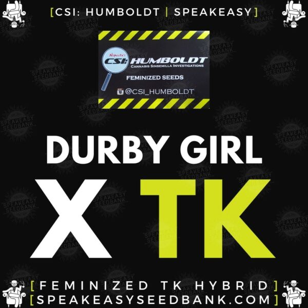 Speakeasy presents Durby Girl x Triangle Kush by CSI Humboldt (Feminized Seeds)