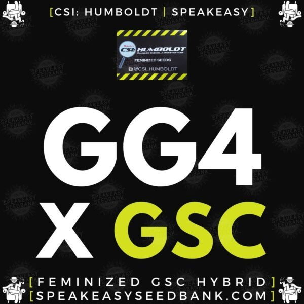 Speakeasy presents GG4 x GSC by CSI Humboldt (Feminized Seeds)