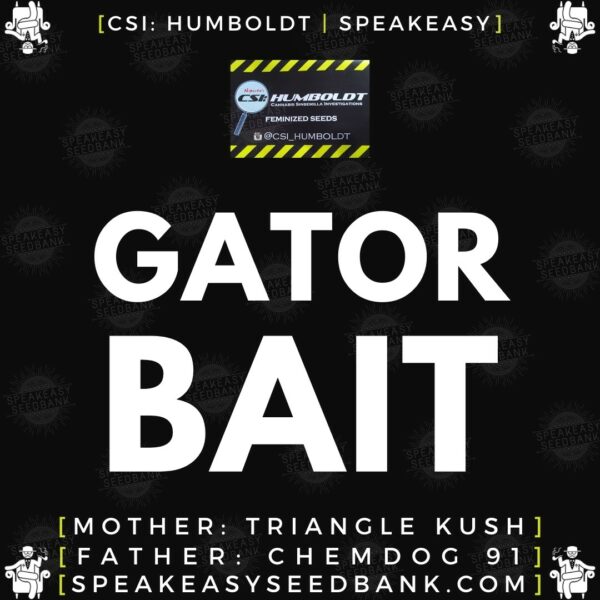 Speakeasy presents Gator Bait by CSI Humboldt (Feminized Seeds)