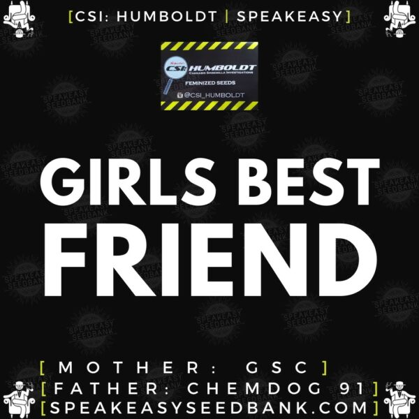 Speakeasy presents Girls Best Friend by CSI Humboldt (Feminized Seeds)