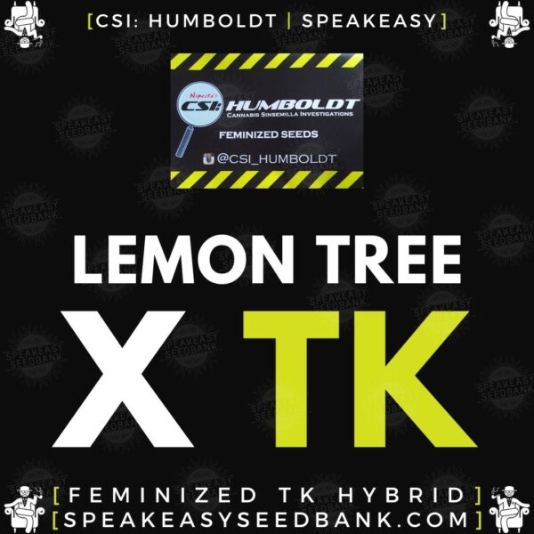 Speakeasy presents Lemon Tree x Triangle Kush by CSI Humboldt (Feminized Seeds)