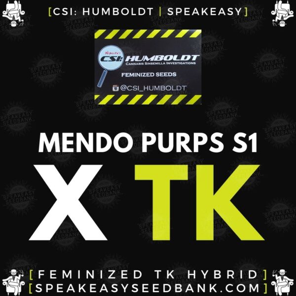 Speakeasy presents Mendo Purps S1 x Triangle Kush by CSI Humboldt (Feminized Seeds)