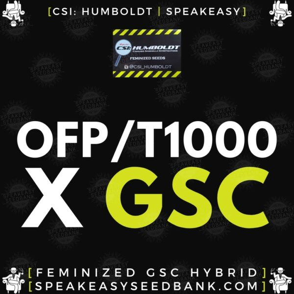 Speakeasy presents OFP / T-1000 x GSC by CSI Humboldt (Feminized Seeds)