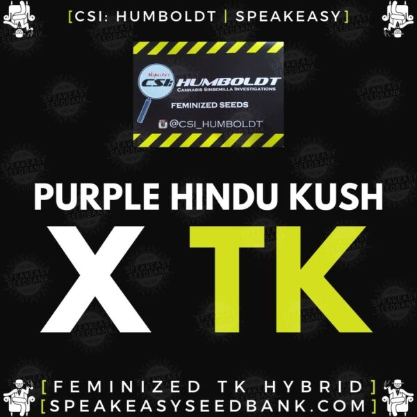 Speakeasy presents Purple Hindu Kush x Triangle Kush (CSI Humboldt)