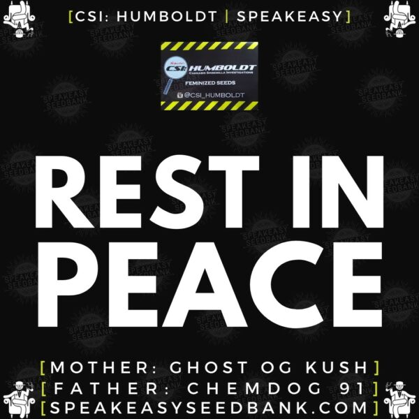 Speakeasy presents Rest In Peace by CSI Humboldt (Feminized Seeds)