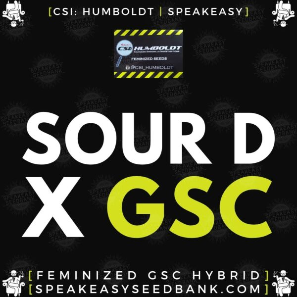 Speakeasy presents Sour D x GSC by CSI Humboldt (Feminized Seeds)