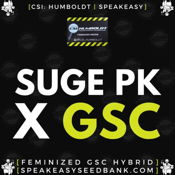 Speakeasy presents Suge Pure Kush x GSC by CSI Humboldt (Feminized Seeds)
