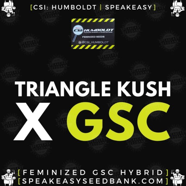 Speakeasy presents Triangle Kush x GSC (CSI Humboldt)