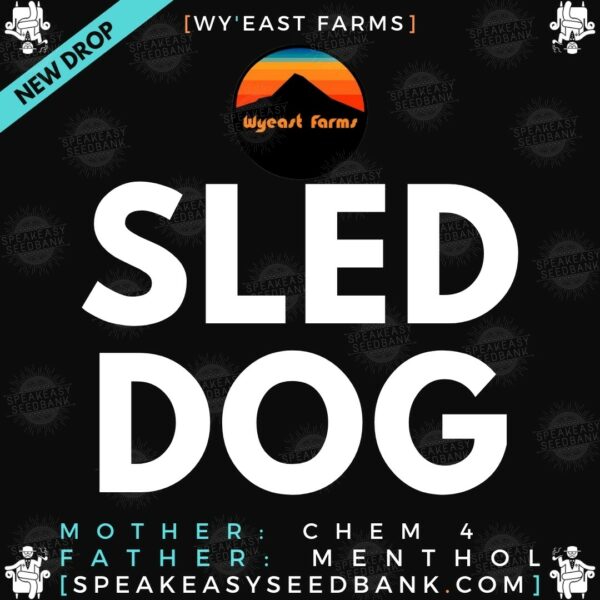 Speakeasy presents Sled Dog (Wy'east Farms)