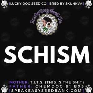 Speakeasy presents Schism by Lucky Dog Seed Co