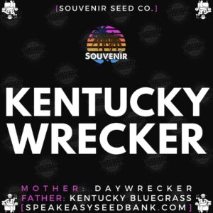 Speakeasy presents Kentuckywrecker by Souvenir Seed Co