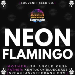 Speakeasy presents Neon Flamingo by Souvenir Seed Co