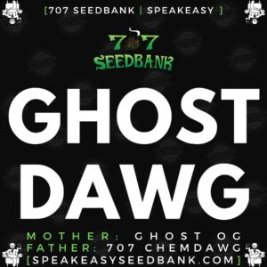 Speakeasy presents Ghost Dawg (coming soon)