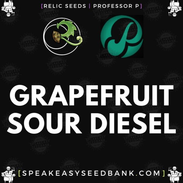 Speakeasy presents Grapefruit Sour Diesel by Relic Seeds
