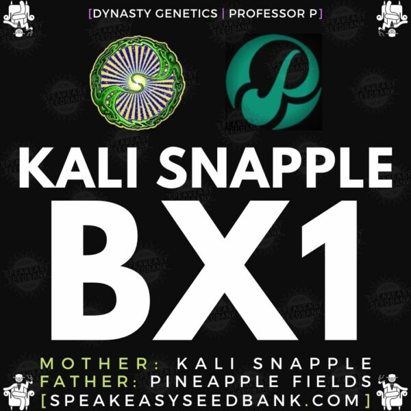 Speakeasy presents Kali Snapple BX1 by Dynasty Genetics