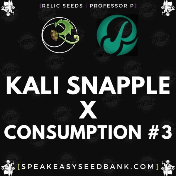 Speakeasy presents Kali Snapple x Consumption no.3 by Relic Seeds