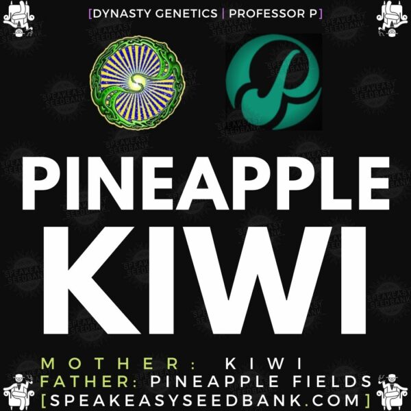 Speakeasy presents Pineapple Kiwi by Dynasty Genetics