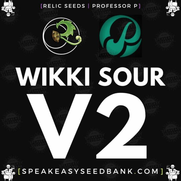 Speakeasy presents Wikki Sour version 2