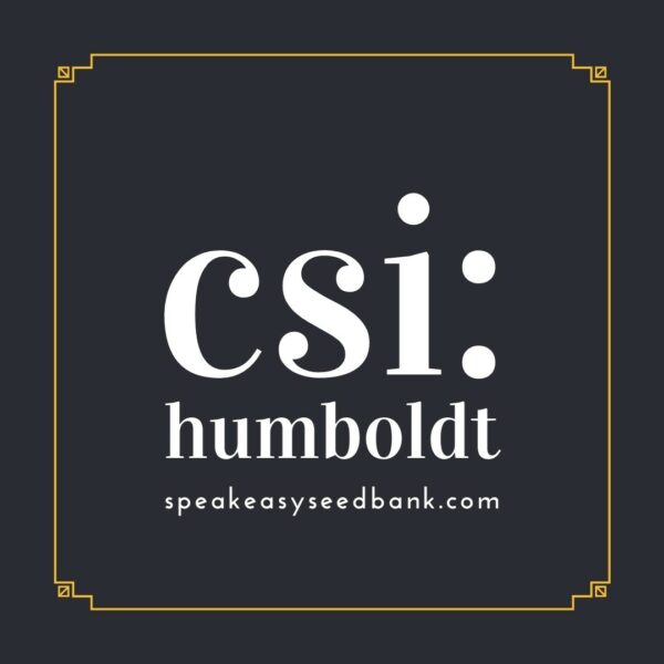 Speakeasy presents CSI Humboldt