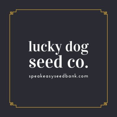 Speakeasy Seedbank Pay With Credit Card Archive Seed Bank And More