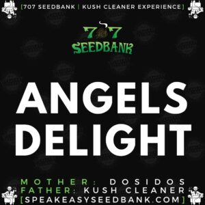 Speakeasy presents Angels Delight by 707 Seedbank