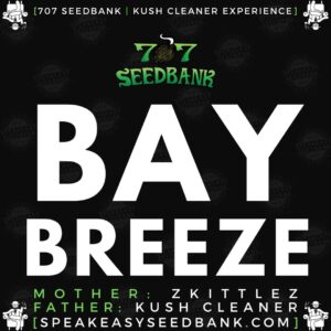 Speakeasy presents Bay Breeze by 707 Seedbank
