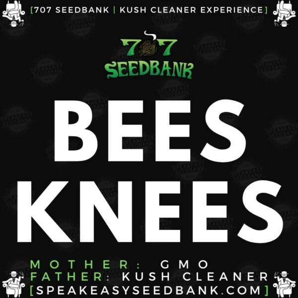 Speakeasy presents Bees Knees by 707 Seedbank