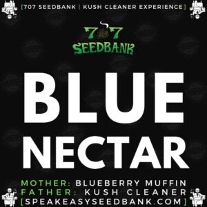 Speakeasy presents Blue Nectar by 707 Seedbank