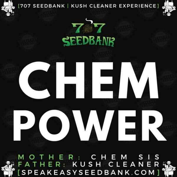 Speakeasy presents Chem Power by 707 Seedbank