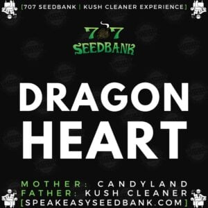 Speakeasy presents Dragon Heart by 707 Seedbank