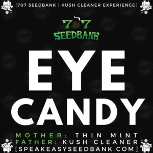 Speakeasy presents Eye Candy by 707 Seedbank