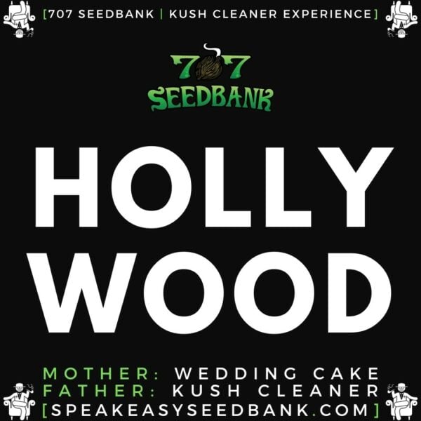 Speakeasy presents Hollywood by 707 Seedbank