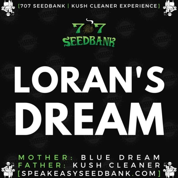 Speakeasy presents Loran's Dream by 707 Seedbank