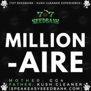 Speakeasy presents Millionaire by 707 Seedbank