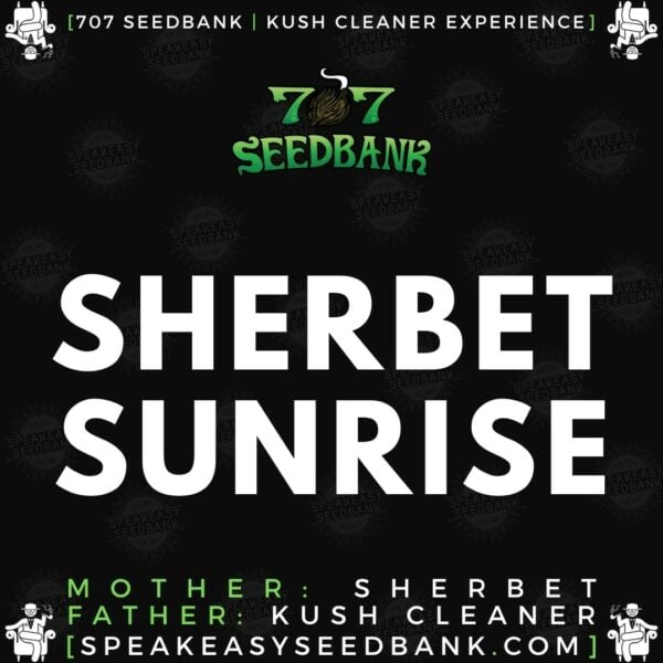 Speakeasy presents Sherbet Sunrise by 707 Seedbank
