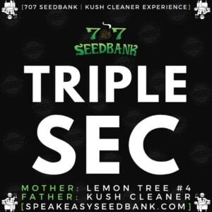 Speakeasy presents Triple Sec by 707 Seedbank