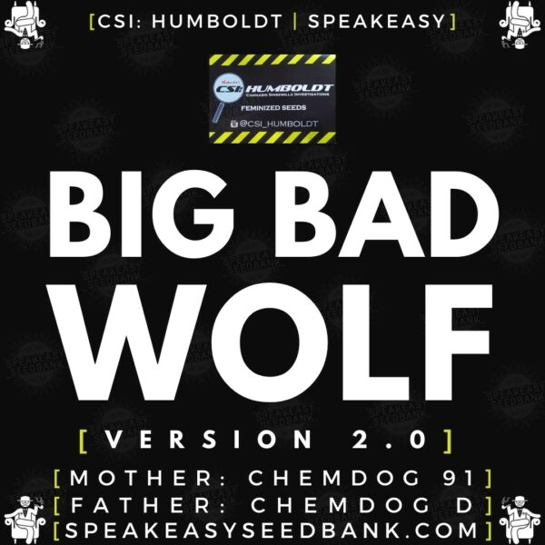 Speakeasy presents Big Bad Wolf version 2.0 by CSI Humboldt