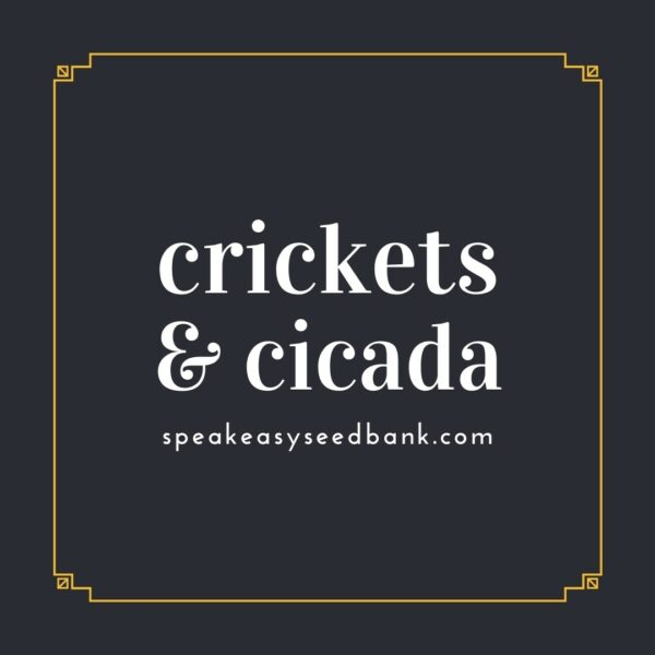 Speakeasy presents Crickets and Cicada Seeds