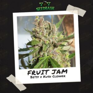 Fruit Jam by 707 Seed Bank