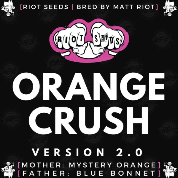 Speakeasy presents Orange Crush version 2.0 by Riot Seed Co